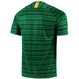 South Africa National Team Green/Yellow 2018 Away Replica Stadium Jersey