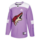 Arizona Coyotes Purple 2018 Hockey Fights Cancer Custom Practice Jersey