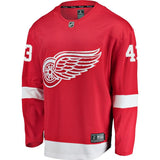 Darren Helm #43 Detroit Red Wings Red Breakaway Player Jersey