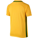 Brazil Yellow/Green Home Performance Stadium Jersey